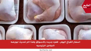 أسعار الفراخ اليوم.. قفزة جديدة بالأسواق وهذا آخر تحديث لبورصة الدواجن الرئيسية